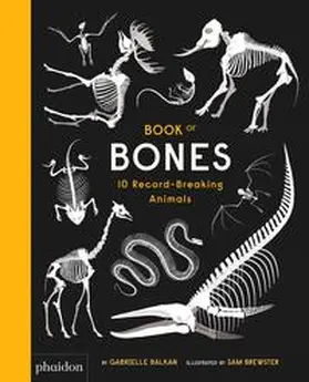 Balkan |  Book of Bones | Buch |  Sack Fachmedien