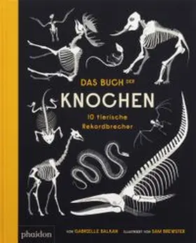 Balkan |  Das Buch der Knochen | Buch |  Sack Fachmedien