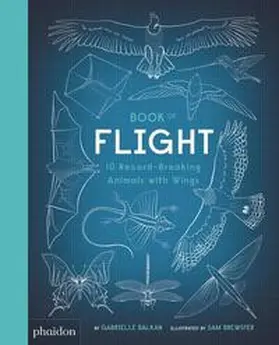 Balkan |  Book of Flight | Buch |  Sack Fachmedien