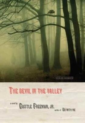 Freeman |  The Devil in the Valley | Buch |  Sack Fachmedien