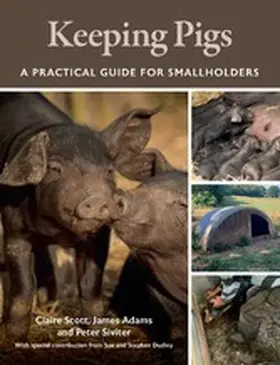 Scott / Adams / Siviter |  Keeping Pigs | eBook | Sack Fachmedien