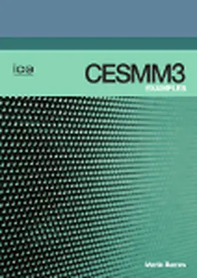 Barnes |  CESMM3 Examples | Buch |  Sack Fachmedien