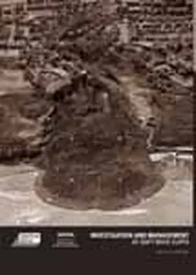 Lee / Clark |  Investigation and Management of Soft Rock Cliffs | Buch |  Sack Fachmedien