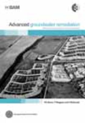 Simon / Meggyes / Mcdonald |  Advanced Groundwater Remediation: Active and Passive Technologies | Buch |  Sack Fachmedien