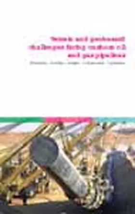  Terrain and Geohazard Challenges facing Onshore Oil and Gas Pipelines | Buch |  Sack Fachmedien