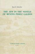 Schyfter |  The Jew in the Novels of Benito Pérez Galdós | Buch |  Sack Fachmedien