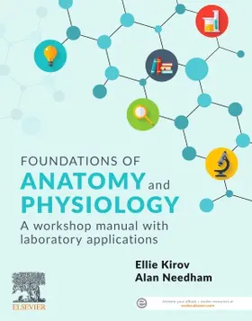 Kirov / Needham |  Foundations of Anatomy and Physiology | Buch |  Sack Fachmedien