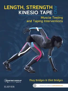 Bridges BAppSc(Phty) / Bridges |  Length, Strength and Kinesio Tape - eBook | eBook | Sack Fachmedien