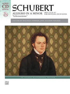  Allegro in A Minor, Op. 144 ("Lebensstürme") | Buch |  Sack Fachmedien
