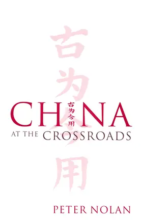 Nolan | China at the Crossroads | Buch | 978-0-7456-3238-4 | sack.de