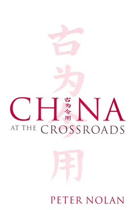 Nolan |  China at the Crossroads | Buch |  Sack Fachmedien