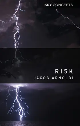 Arnoldi | Risk | Buch | 978-0-7456-4098-3 | sack.de