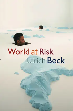 Beck |  World at Risk | Buch |  Sack Fachmedien