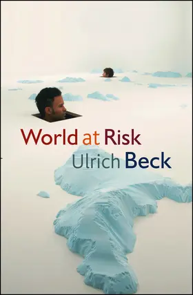 Beck |  World at Risk | Buch |  Sack Fachmedien
