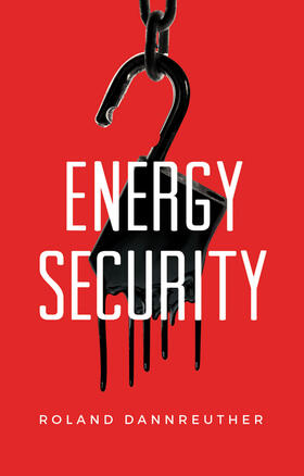 Dannreuther | Energy Security | Buch | 978-0-7456-6191-9 | sack.de