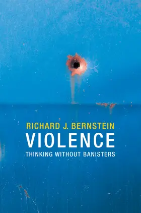 Bernstein |  Violence | Buch |  Sack Fachmedien