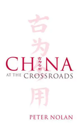 Nolan | China at the Crossroads | E-Book | sack.de