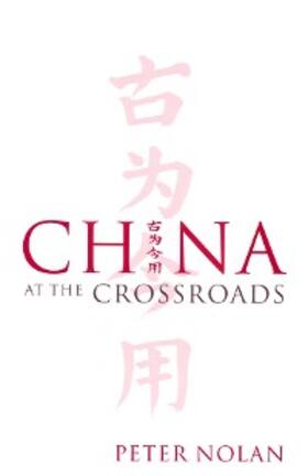 Nolan | China at the Crossroads | E-Book | sack.de