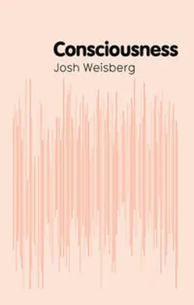 Weisberg |  Consciousness | eBook | Sack Fachmedien