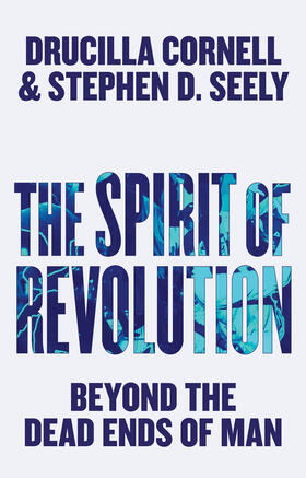 Cornell / Seely | The Spirit of Revolution | Buch | 978-0-7456-9075-9 | sack.de
