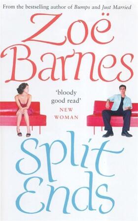 Barnes |  Split Ends | Buch |  Sack Fachmedien