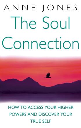 Jones |  The Soul Connection | Buch |  Sack Fachmedien