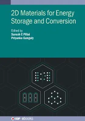 Pillai / Ganguly | 2D Materials for Energy Storage and Conversion | E-Book | sack.de