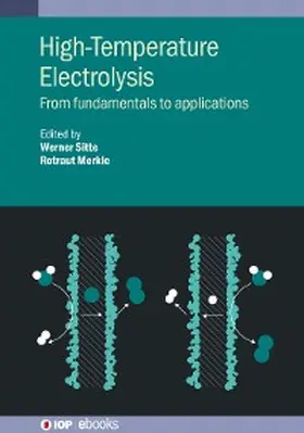 Sitte / Merkle | High-Temperature Electrolysis | E-Book | www.sack.de