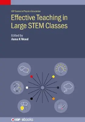 Wood |  Effective Teaching in Large STEM Classes | eBook | Sack Fachmedien