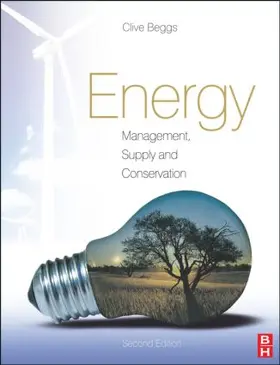 Beggs |  Energy | Buch |  Sack Fachmedien