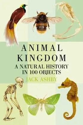 Ashby |  Animal Kingdom | eBook | Sack Fachmedien