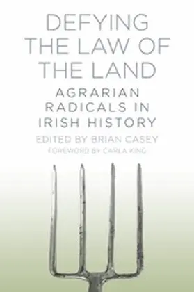 Casey |  Defying the Law of the Land | eBook | Sack Fachmedien