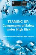 Jochum / Dietrich |  Teaming Up: Components of Safety Under High Risk | Buch |  Sack Fachmedien