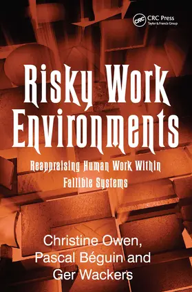 Béguin / Owen |  Risky Work Environments | Buch |  Sack Fachmedien