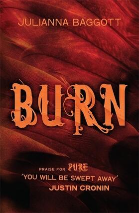 Baggott |  Burn | Buch |  Sack Fachmedien