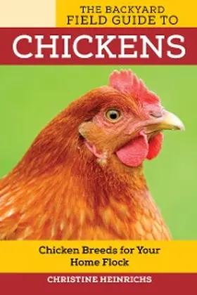 Heinrichs |  The Backyard Field Guide to Chickens | eBook | Sack Fachmedien