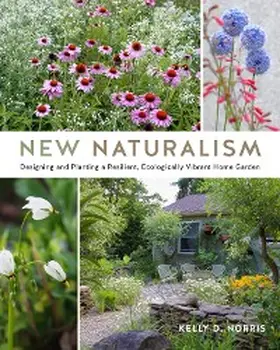 Norris |  New Naturalism | eBook | Sack Fachmedien