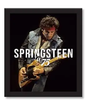 Gaar |  Bruce Springsteen at 75 | eBook | Sack Fachmedien