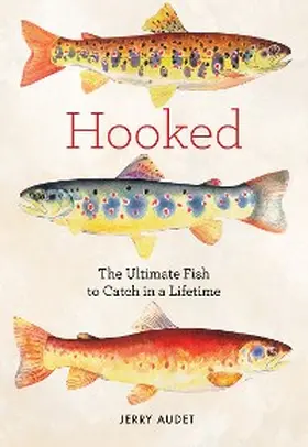 Audet |  Hooked | eBook | Sack Fachmedien