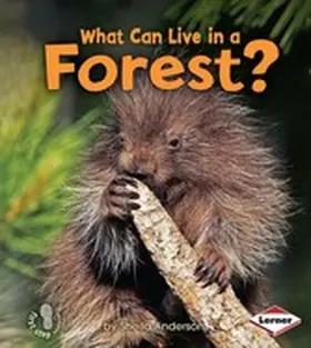 Anderson |  What Can Live in a Forest? | eBook | Sack Fachmedien