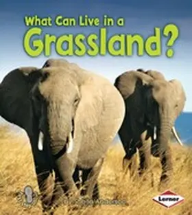 Anderson |  What Can Live in a Grassland? | eBook | Sack Fachmedien