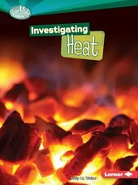 Walker |  Investigating Heat | eBook | Sack Fachmedien