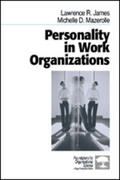 James / Mazerolle |  Personality in Work Organizations | Buch |  Sack Fachmedien