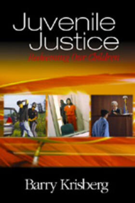 Krisberg | Juvenile Justice | Buch | 978-0-7619-2501-9 | sack.de