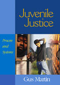 Martin |  Juvenile Justice | Buch |  Sack Fachmedien