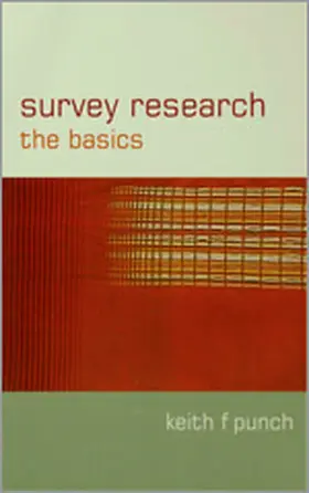 Punch |  Survey Research | Buch |  Sack Fachmedien
