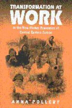 Pollert | Transformation at Work | Buch | 978-0-7619-5230-5 | sack.de