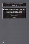 Dannhaeuser / Werner |  Social Dimensions in the Economic Process | Buch |  Sack Fachmedien