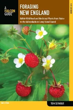 Seymour |  Foraging New England | eBook | Sack Fachmedien