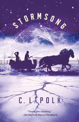 Polk |  Stormsong | Buch |  Sack Fachmedien